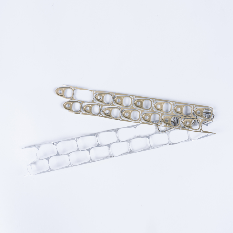 Gegalvaniseerde ringlipjes De ene kant goud, de andere zilver